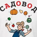 Чем избавиться от слизняков на клубнике. vlad. Чем избавиться от слизняков на клубнике фото. Чем избавиться от слизняков на клубнике-vlad. картинка Чем избавиться от слизняков на клубнике. картинка vlad. Слизни наносят большой вред спелым сочным ягодам. Они объедают клубнику, иной раз съедая большую часть всех ягод. Чтобы не делить урожай с этими вредителями, следует принять некоторые меры. Борьба со слизнями на клубнике не сложная, но она должна проводиться методично и регулярно.
