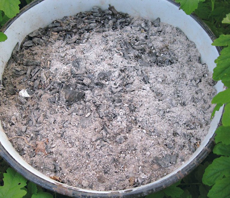 Как ухаживать за малиной весной чтобы был хороший урожай