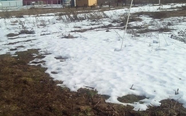 Тающий белый снег в саду