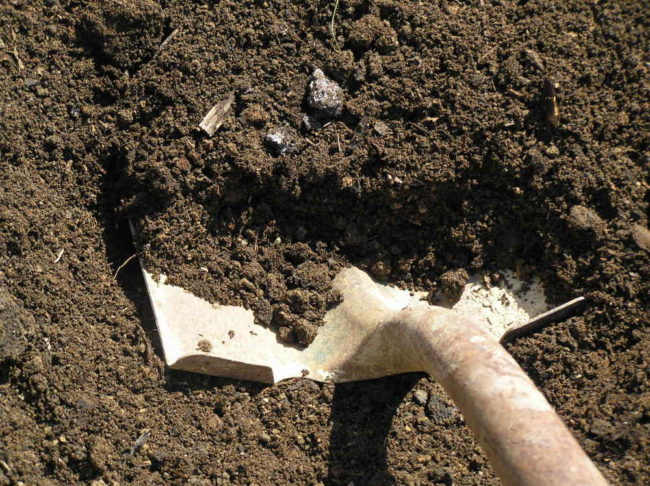 Перекопка почвы в саду лопатой