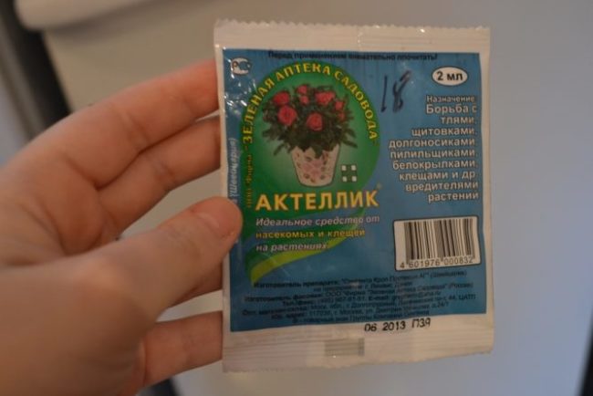 Пакет с инсектоакарицидом Актеллик для уничтожения белокрылки на клубнике