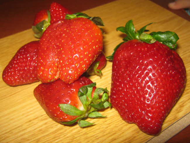 Крупные ягоды клубники Берегниня на разделочной доске