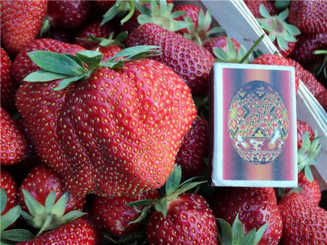 Размеры ягоды клубники Дарселект