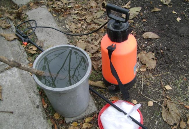 Вода в ведре химическое средство и аппарат для опрыскивания