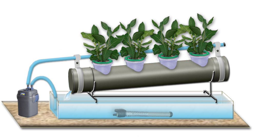 оборудование для выращивания растений в домашних условиях