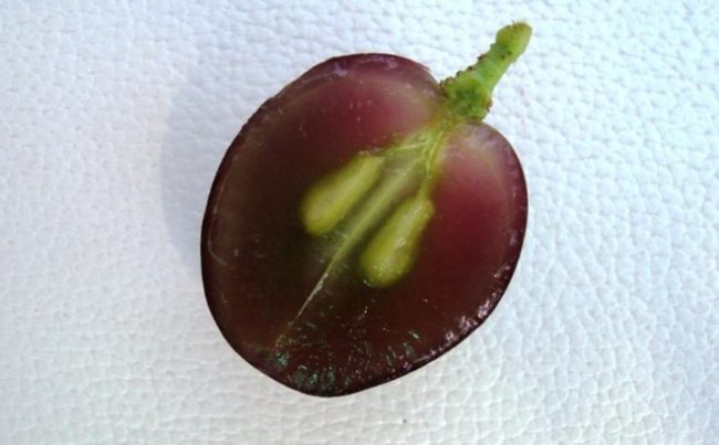 Разрез плода винограда Сфинкс, две семечки и плотная, сочная мякоть