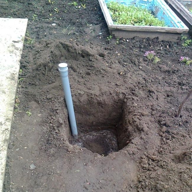 Посадочная яма для винограда сорта Виктория и пластиковая канализационная труба для полива под корень
