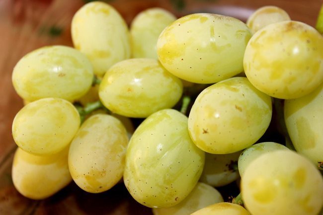 Плоды вытянутой формы столового винограда гибридного сорта Макси Белый
