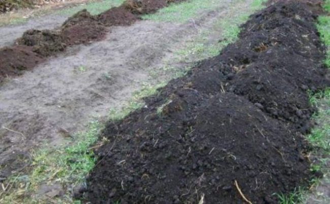 Обогощение почвы перед посадкой винограда.