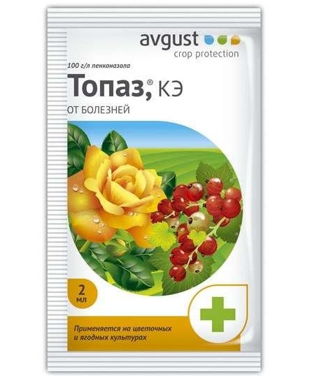 Пакет с ампулой препарата Топаз, используемого для профилактики и лечения грибковых болезней винограда