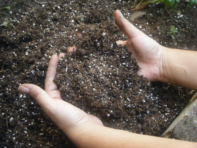 Человек перемешивает почву с минеральными удобрениями