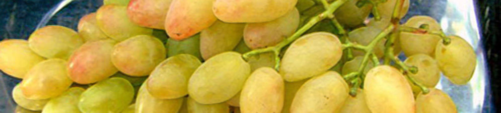 Сорт винограда спелые плоды Голд Фингер