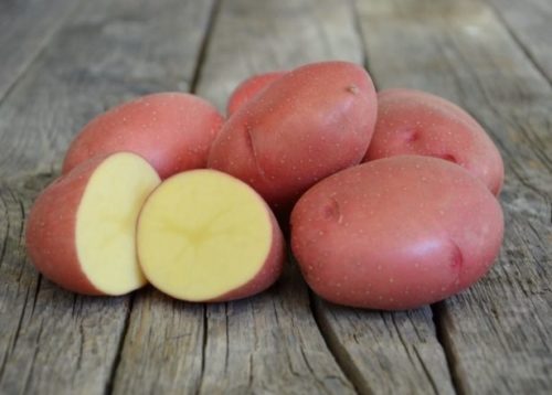 Разрезанный картофель сорта Розара с мякотью нежно-желтоватого окраса