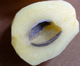 Очищенный молодой картофель с дуплом внутри