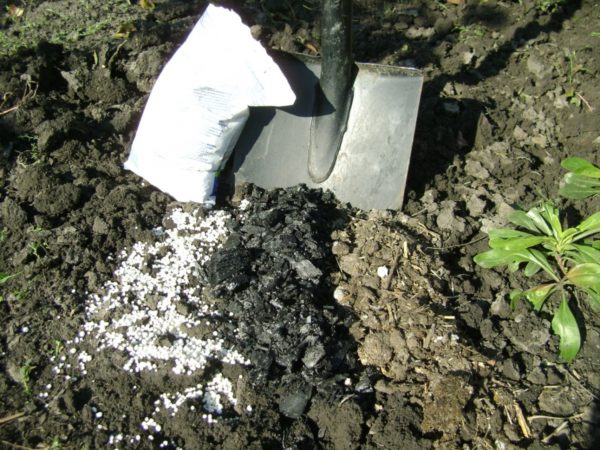 Лопата и подкормки для внесения в почву при посадке груши