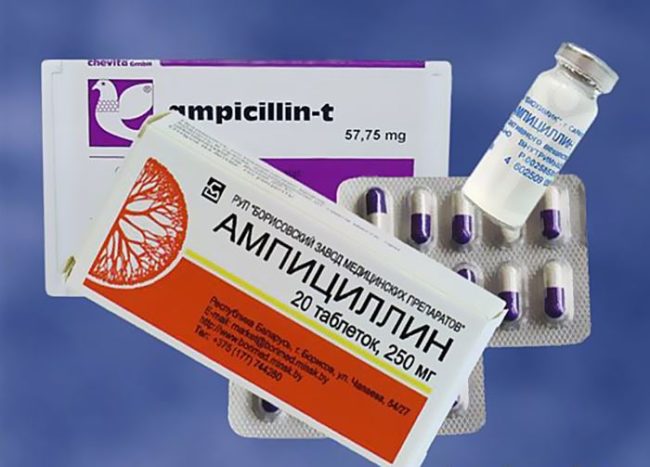 Ампициллин в таблетках и капсулах для лечения бактериального ожога у груши