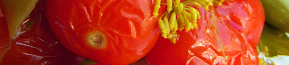 kislie pomidori