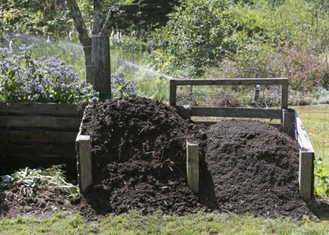 vyzrevshij kompost