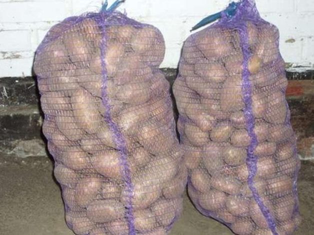 Сетки с картошкой в утепленном подвале загородного дома