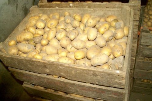 хранение картофеля в погребе в деревянных ящиках