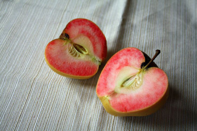 Разрез спелого яблока сорта Розовый Жемчуг с красноватой мякотью