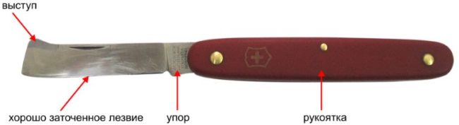 Копулировочный нож с пластиковой рукояткой для выполнения срезов при проведении прививки