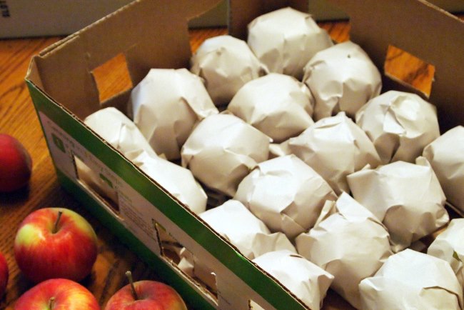 Хранения урожая яблок в бумаге в условиях городской квартиры