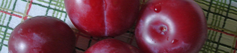 4 спелых сорванных плода сорта Неженка на столе
