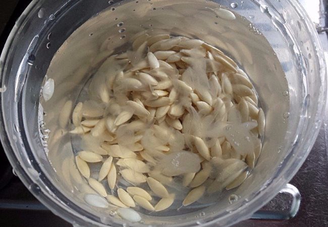 Семена огурцов в прозрачной ёмкости с водным раствором поваренной соли