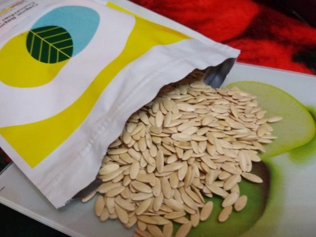 Качественные огуречные семена гибридного сорта из пакета с фольгой