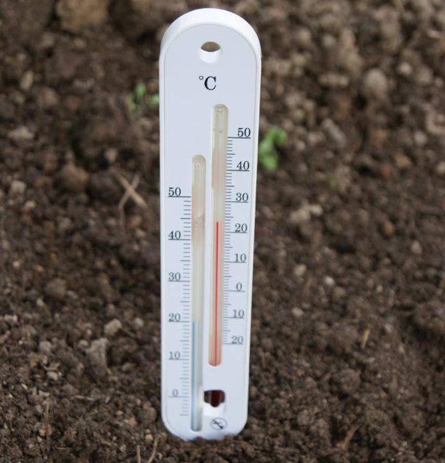 Градусник для почвы купить. Термометр для почвы тп1. Термометр для почвы 6404 Park. AMT-5 термометр почвенный. Hanna термометр измеритель влажности почвенный.