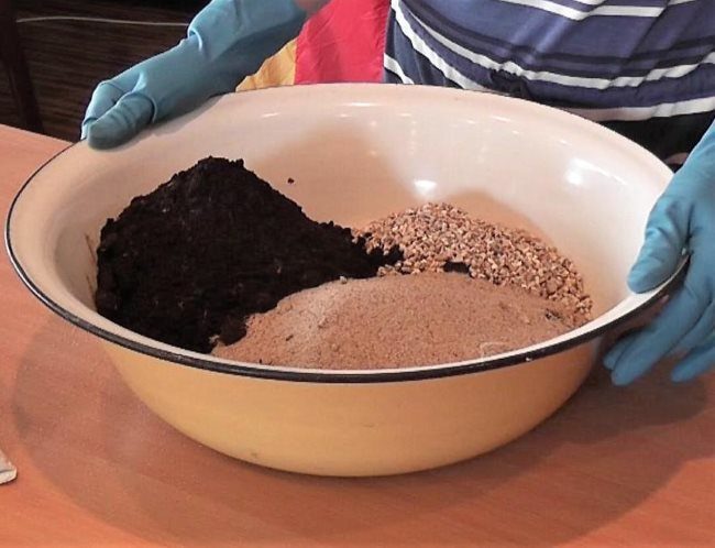 Эмалированная чашка с землей и песком для посадки петунии в кашпо