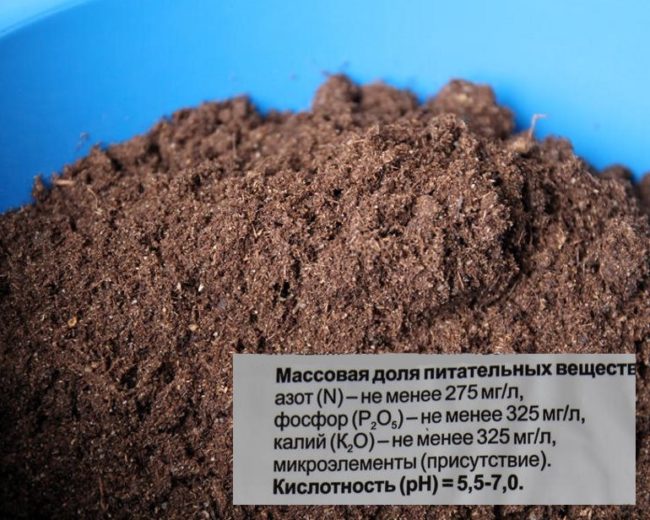 Внешний вид и состав питательного грунта для выращивания петунии в кашпо