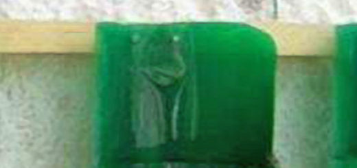 Кашпо из пластиковых зелёных бутылок