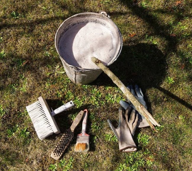 Раствор извести и инструменты для осенней побелки садовой вишни