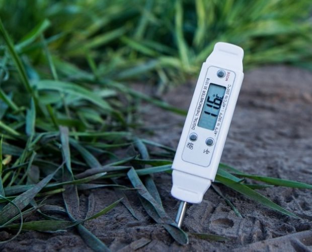 Измерение температуры почвы с помощью электронного прибора