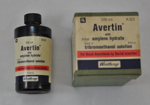 Препарат Авертин для весенней обработки кустов черной смородины